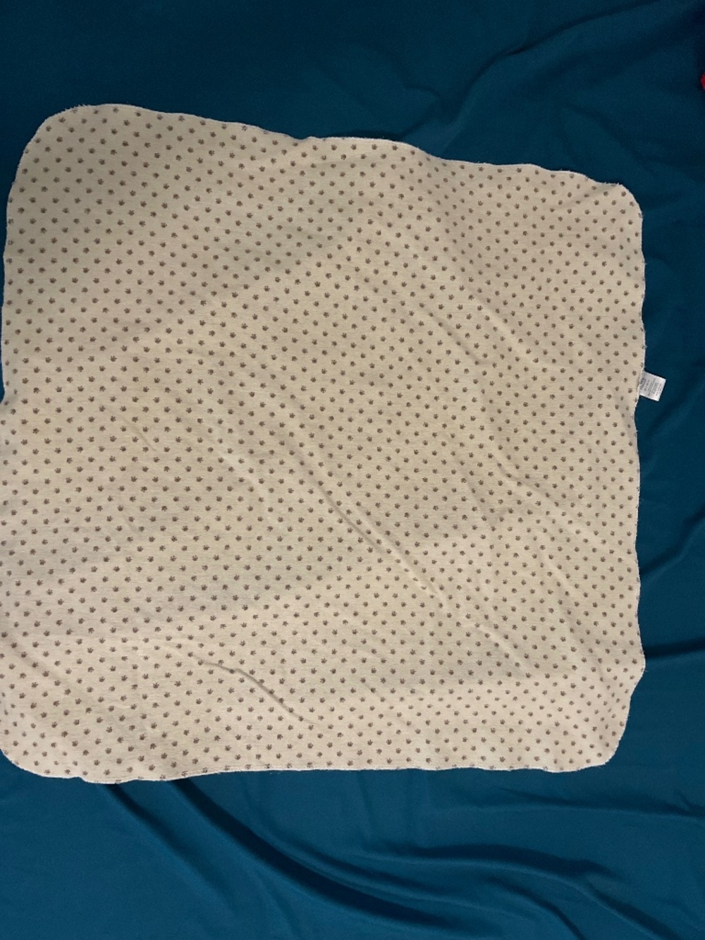 Luvable Friends Cream Dog Paw Baby Towel Blanket